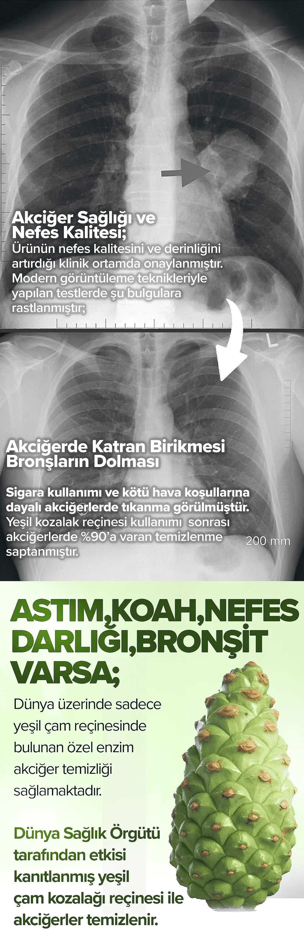 Tıkla Sipariş Ver